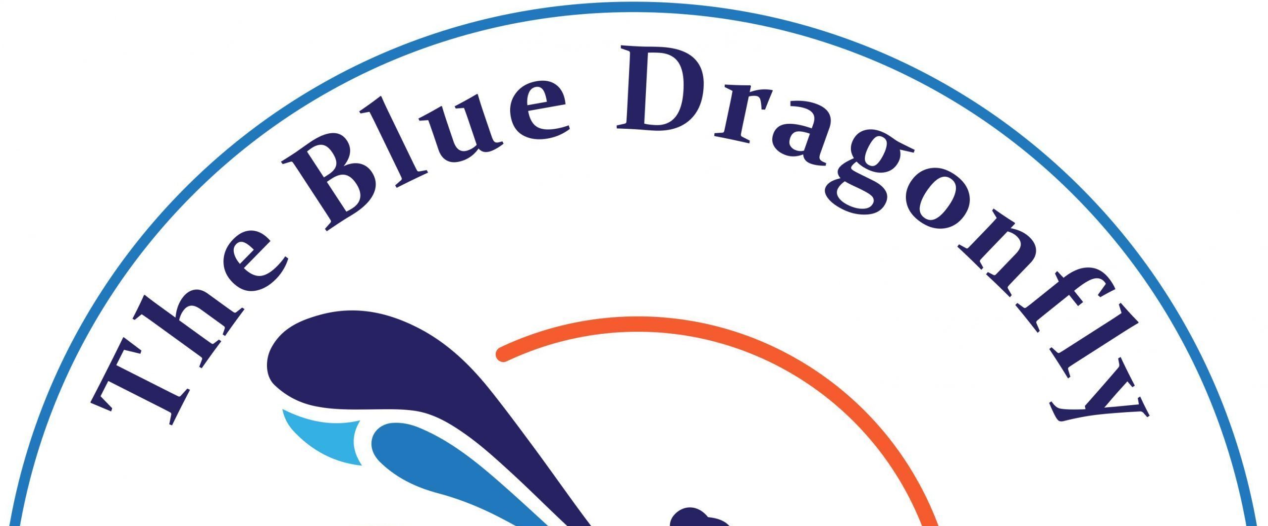 The Blue Dragon Fly Foundation (Autism)