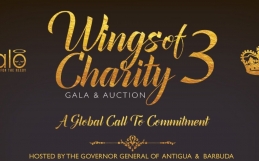 Halo Wings of Charity Auction Gala 3