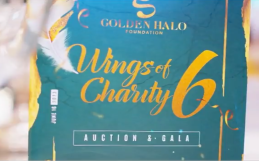 Wings of Charity 6 Recap Video